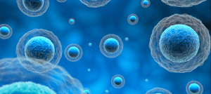 Stem Cell Therapy For Traumatic Brain Injury | Stemedix ...