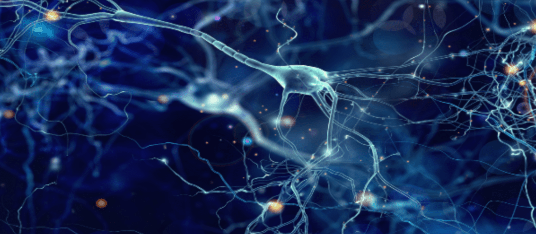 A Guide to Stem Cell Therapy for Neurodegenerative Diseases