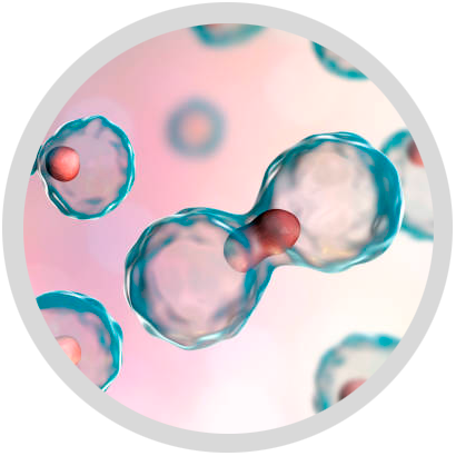 regenerative medicine