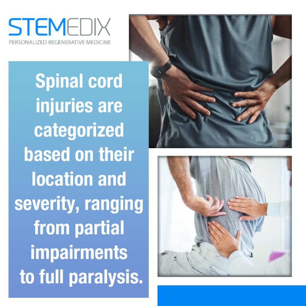 Spinal cord injuries are categorized based on their location and severity, ranging from partial impairments to full paralysis